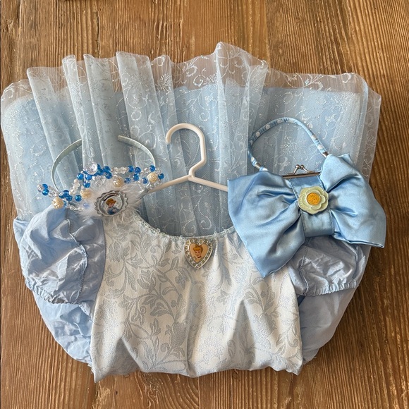 Walt Disney World 2/3Princess Cinderella Dress Up Gown Costume purse and crown
